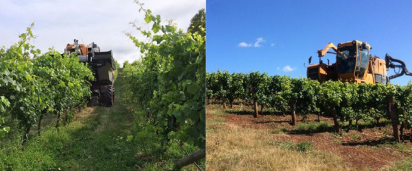 news item main image